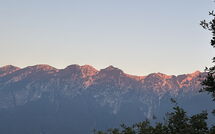 Foto pubblicata dell'ospite di Tignale 624