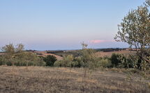 Foto pubblicata dell'ospite di Fattoria le Chianacce