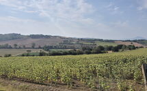 Foto pubblicata dell'ospite di Fattoria le Chianacce