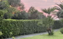 Foto pubblicata dell'ospite di Cala Marina