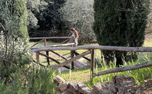 Foto pubblicata dell'ospite di La Sorgente