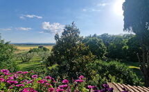Foto pubblicata dell'ospite di Villa Cecilia