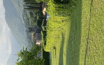 Foto pubblicata dell'ospite di Verde Versilia