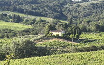Foto pubblicata dell'ospite di Villa Magna + Dependance
