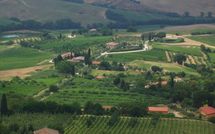 Foto pubblicata dell'ospite di Podere la Marronaia