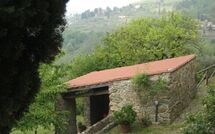 Foto pubblicata dell'ospite di Podere Centone