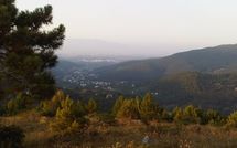 Foto pubblicata dell'ospite di Flavia