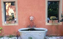 Foto pubblicata dell'ospite di Villa Oleandri