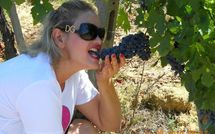 Foto pubblicata dell'ospite di Podere Il Doccio