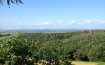 Foto pubblicata dell'ospite di Villa Isabella