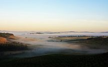 Foto pubblicata dell'ospite di Podere Cunina
