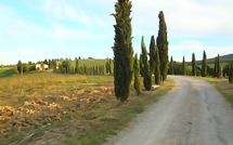 Foto pubblicata dell'ospite di Borgo Tollena