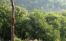 Foto pubblicata dell'ospite di Fattoria Buonconvento