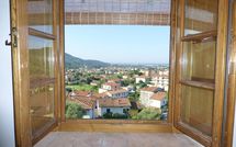 Foto pubblicata dell'ospite di Massarosa 890