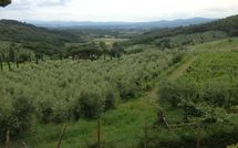 Foto pubblicata dell'ospite di Montescalari