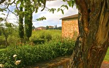 Foto pubblicata dell'ospite di Agriturismo la Papessa