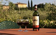 Foto pubblicata dell'ospite di Agriturismo la Papessa