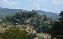 Foto pubblicata dell'ospite di Pozza di Volpaia
