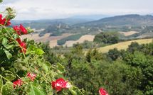 Foto pubblicata dell'ospite di La Chiesina di Vittorio