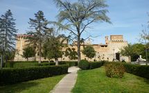 Foto pubblicata dell'ospite di Podere degli Olivi