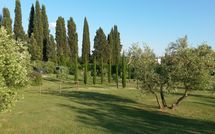 Foto pubblicata dell'ospite di Villa Fontine