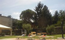Foto pubblicata dell'ospite di Flavia