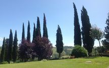 Foto pubblicata dell'ospite di Casa Sabrina