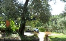 Foto pubblicata dell'ospite di Tenuta Villa la Chiusa Schnautzer