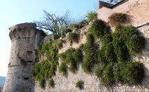 Foto pubblicata dell'ospite di Villa Carolina