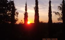 Foto pubblicata dell'ospite di Podere Orietta