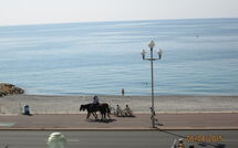 Foto pubblicata dell'ospite di Le Lagon, Nice