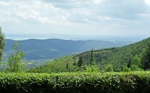 Foto pubblicata dell'ospite di Casa Cristina