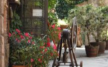 Foto pubblicata dell'ospite di Nel Guasto