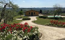 Foto pubblicata dell'ospite di Villa Roberto