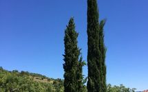 Foto pubblicata dell'ospite di Casa Caldesi