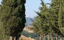 Foto pubblicata dell'ospite di Casa Cipressi