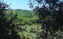 Foto pubblicata dell'ospite di Villa la Vedetta