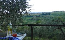 Foto pubblicata dell'ospite di Villa la Vedetta