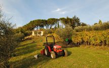 Foto pubblicata dell'ospite di Casa Lucia