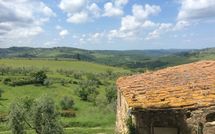 Foto pubblicata dell'ospite di La Chiantigiana