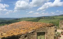 Foto pubblicata dell'ospite di La Chiantigiana