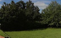 Foto pubblicata dell'ospite di Il Valacchio