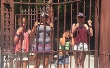 Foto pubblicata dell'ospite di Villa Gaville