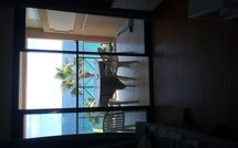 Foto pubblicata dell'ospite di La Verrerie 1, Cannes la Bocca
