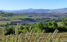 Foto pubblicata dell'ospite di Fonte All'Oppio