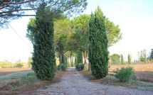 Foto pubblicata dell'ospite di Villa Ponticelli