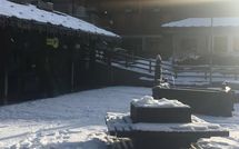 Foto pubblicata dell'ospite di Toule