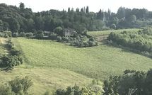 Foto pubblicata dell'ospite di Righi