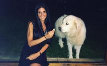 Foto pubblicata dell'ospite di Villa Ardene