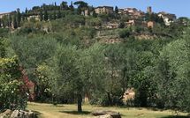 Foto pubblicata dell'ospite di Villa Ardene